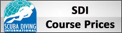 SDI Course Prices