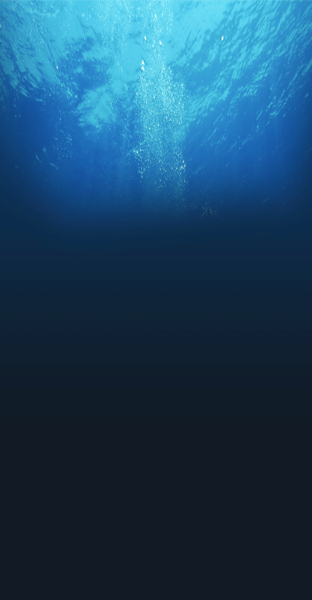 Custom background wordpress thesis